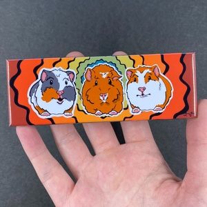 Rainbow Guinea Pig Magnet Handmade Pet Portrait Gift Retro Kitchen Office Decor
